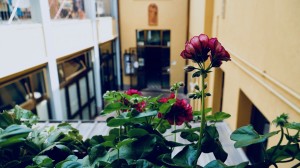 Cortile interno Casa di Accoglienza San Giacomo